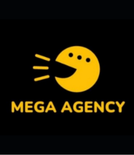 Client 29